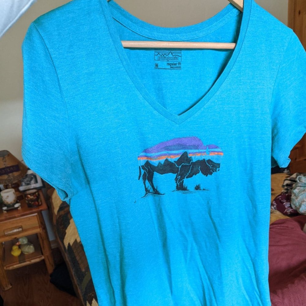New Patagonia T-shirt